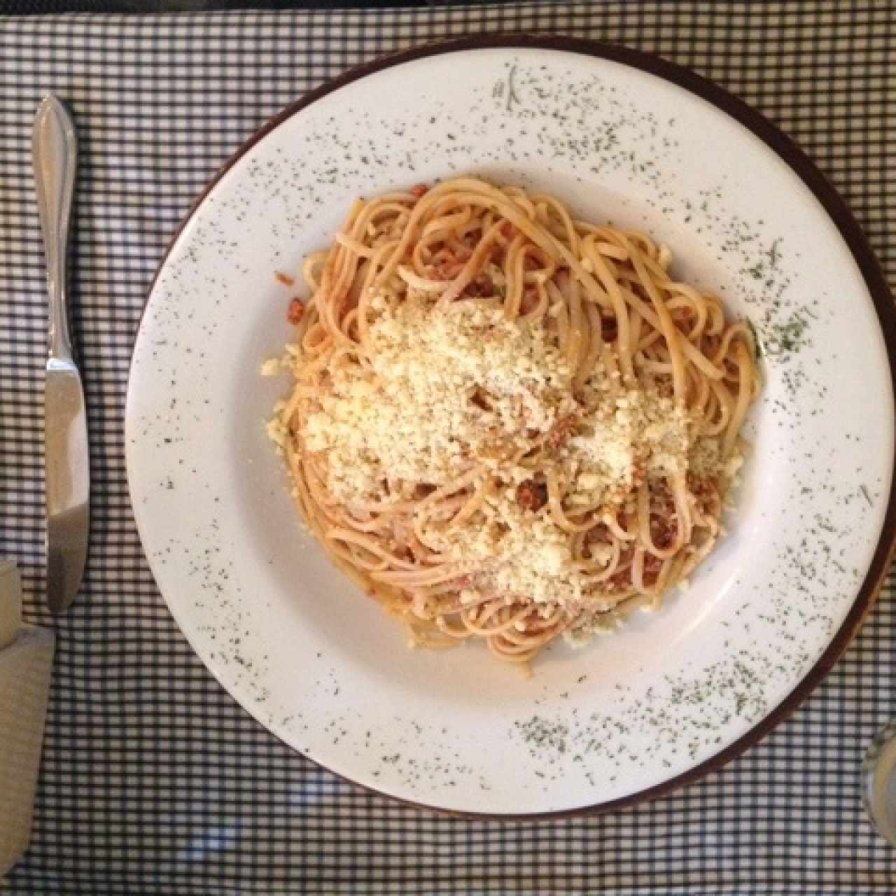Bolognesa