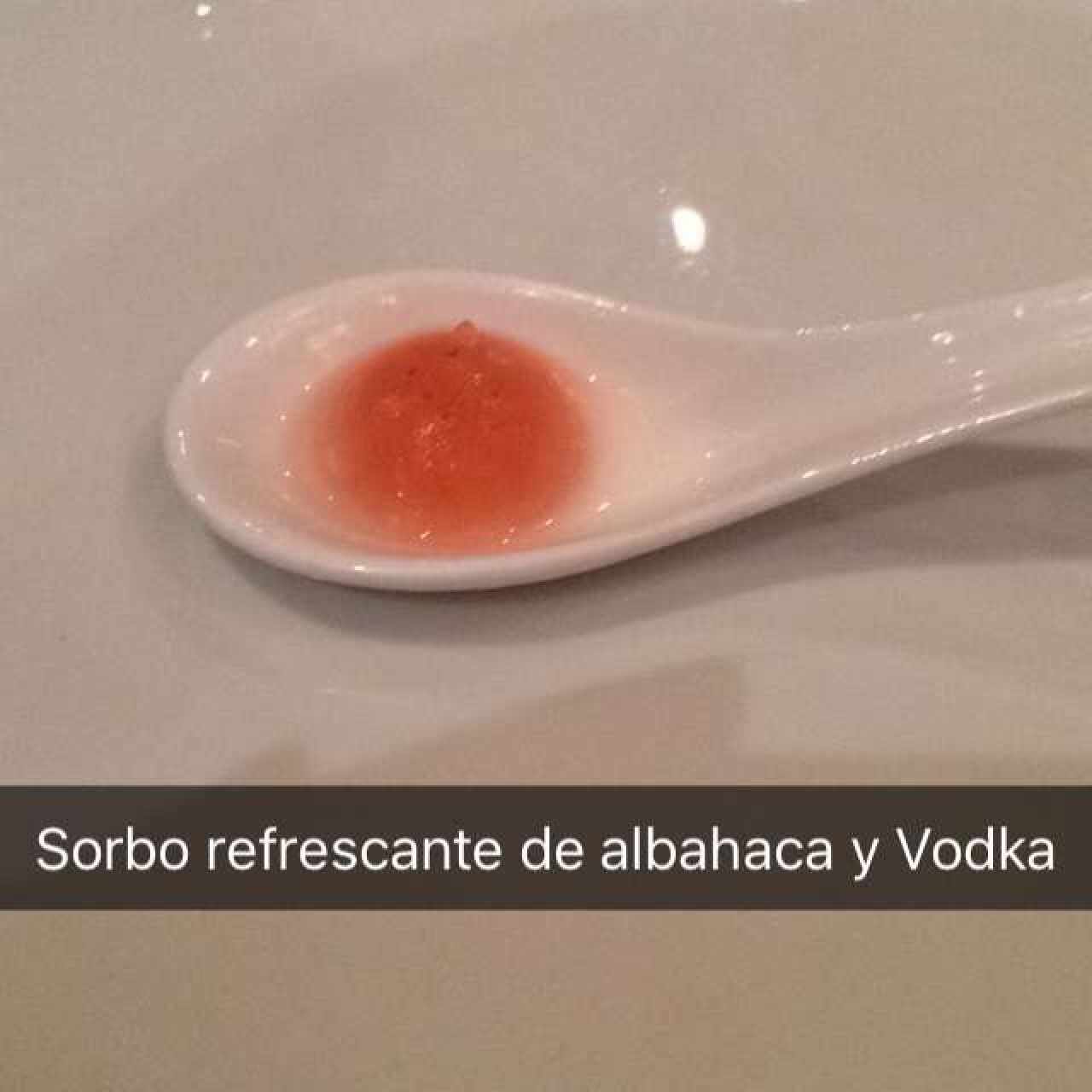 Sorbo Refrescante 