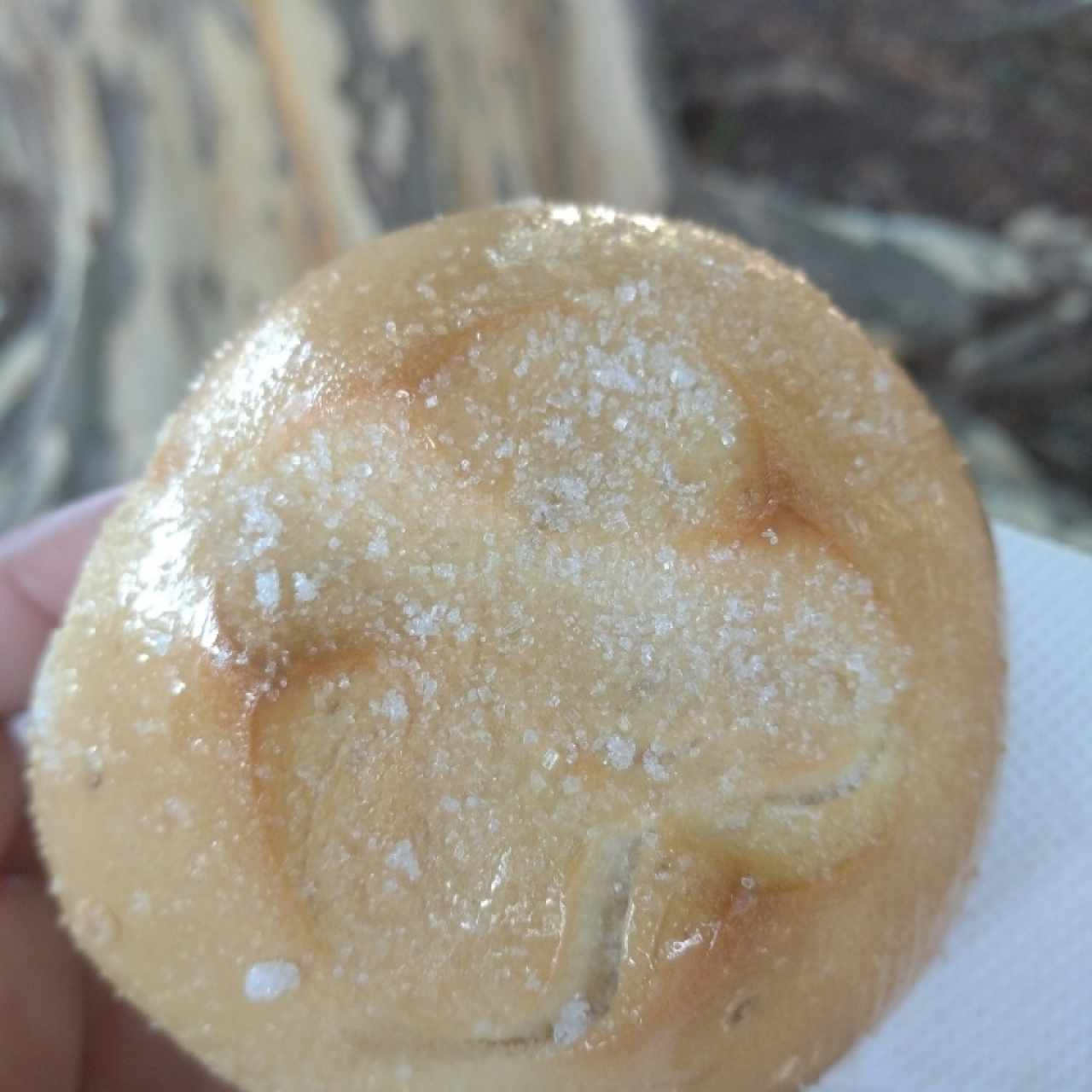 Pan dulce perfecto