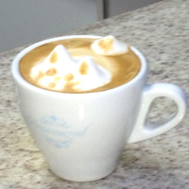 Latte Art en Provenzal