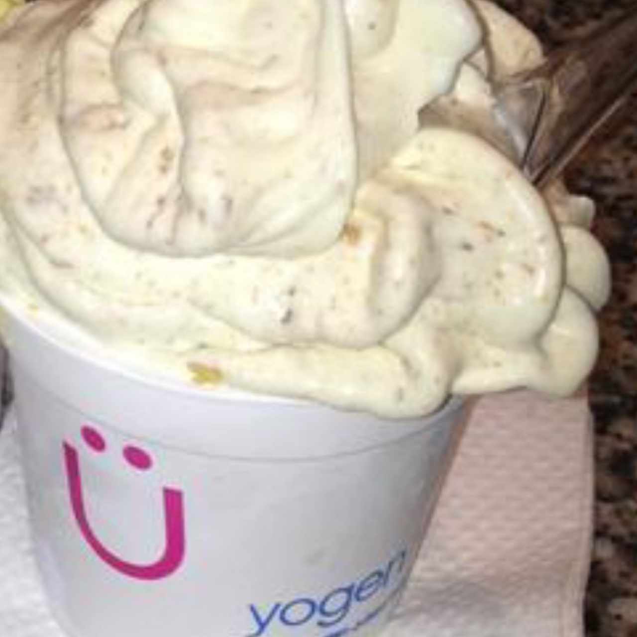 Helado de yogourt Sin azucar 