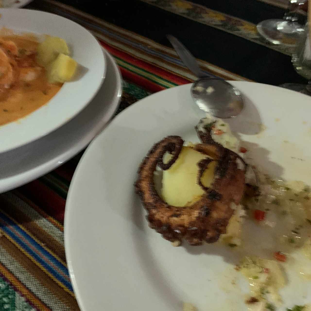 clsidco pulpo 