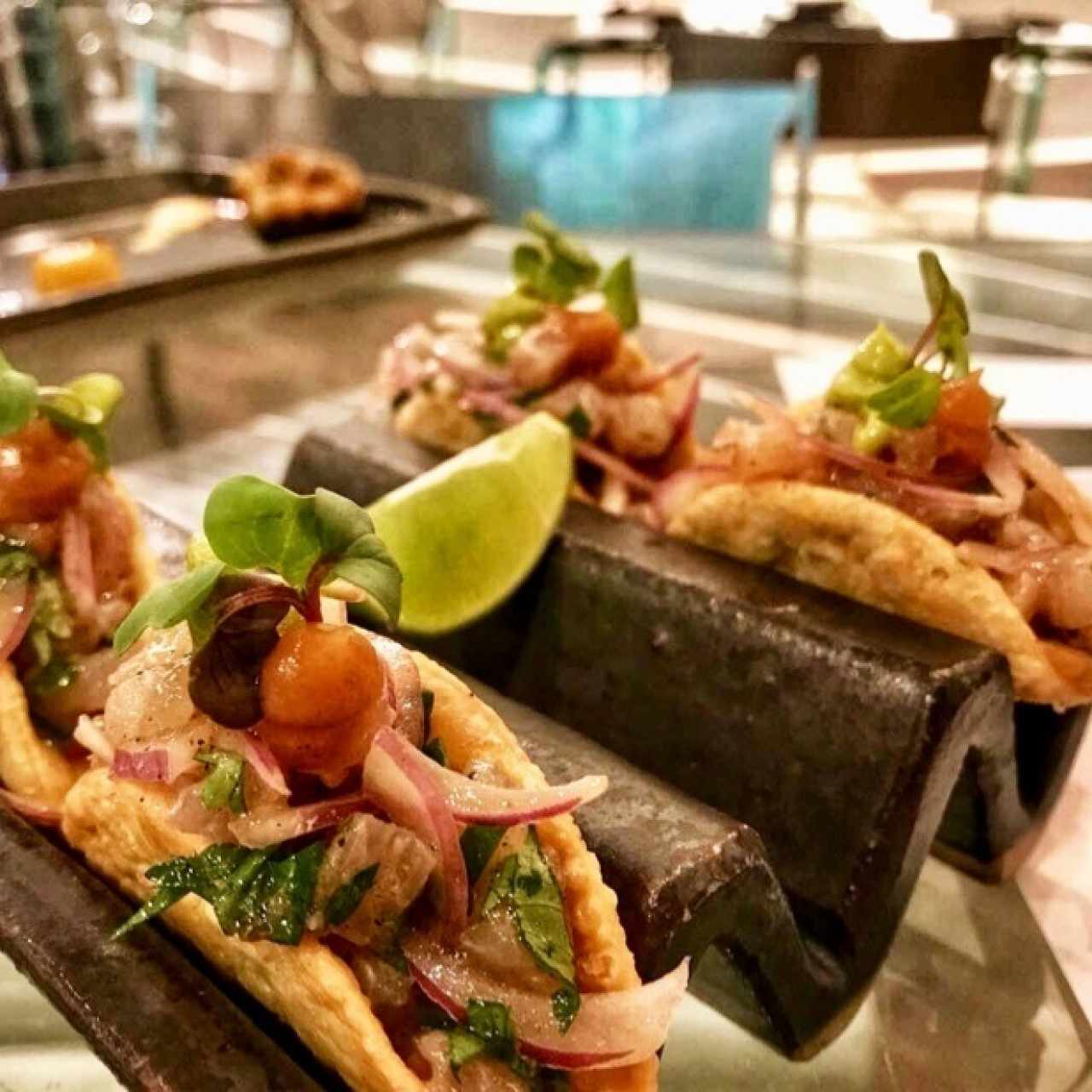 Mini tacos de ceviche de robalo. 