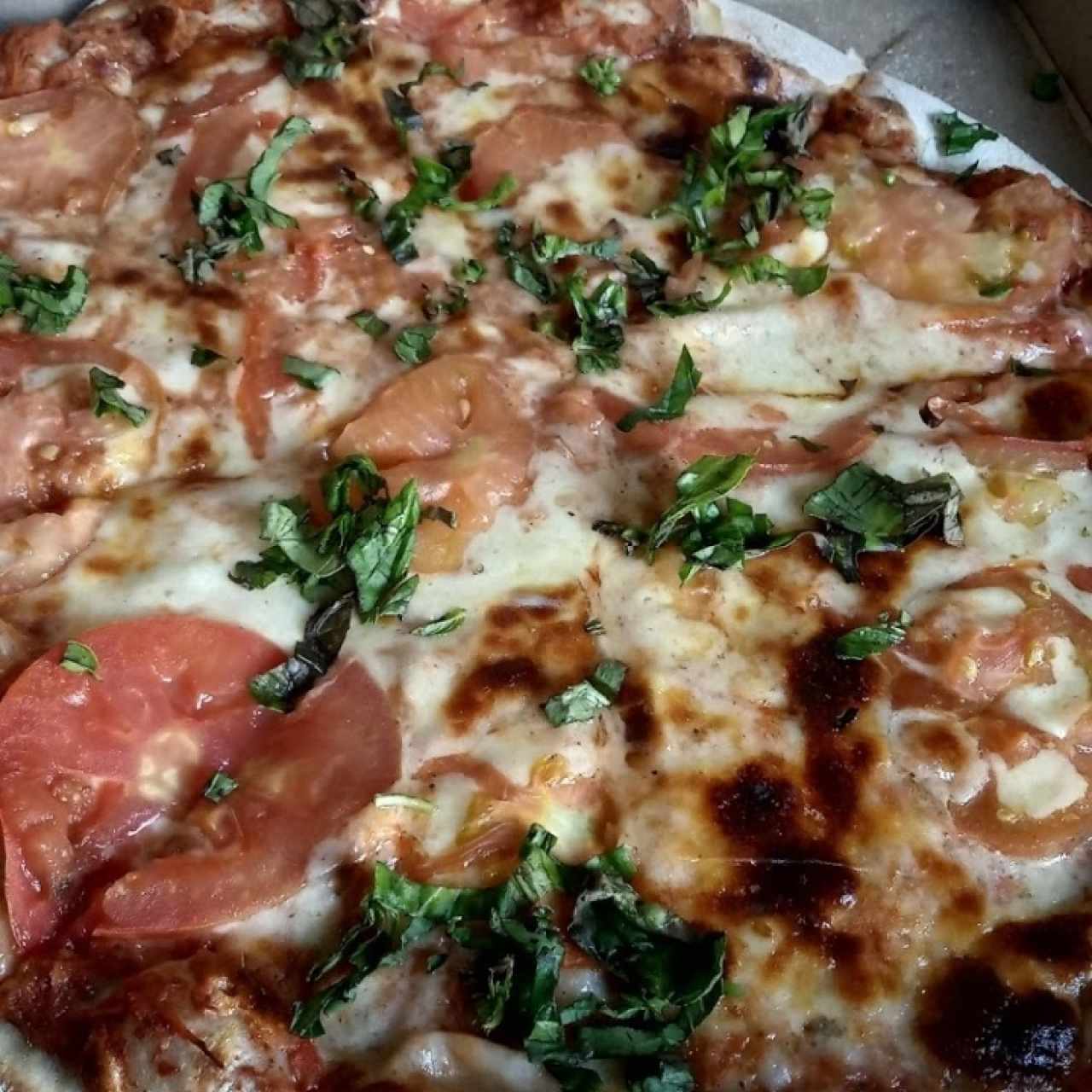 pizza capresa