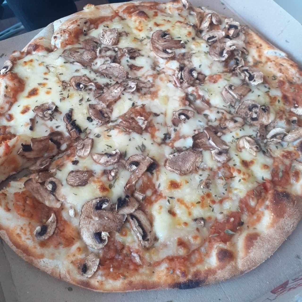 Pizza funghi