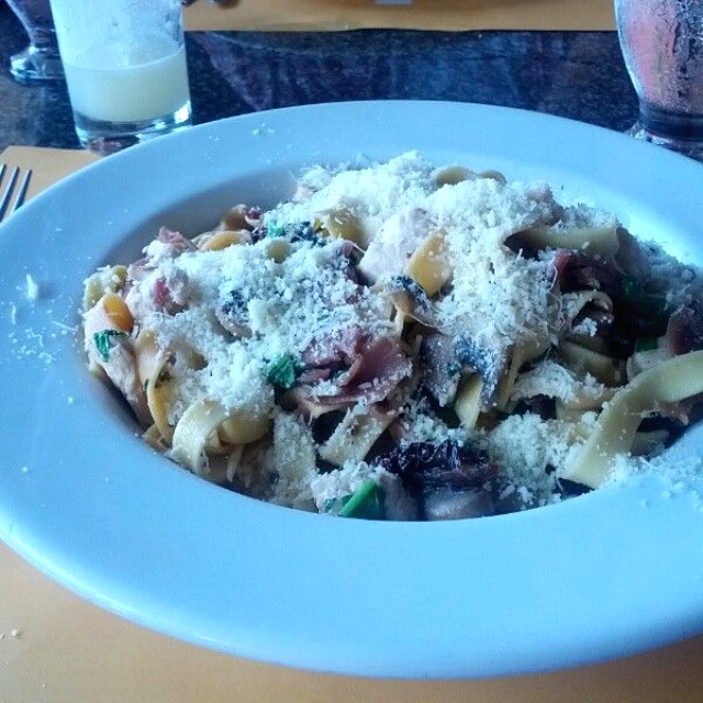 Fetuccini bicolor