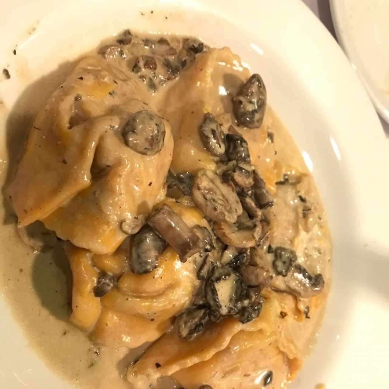 tortelloni amarillo