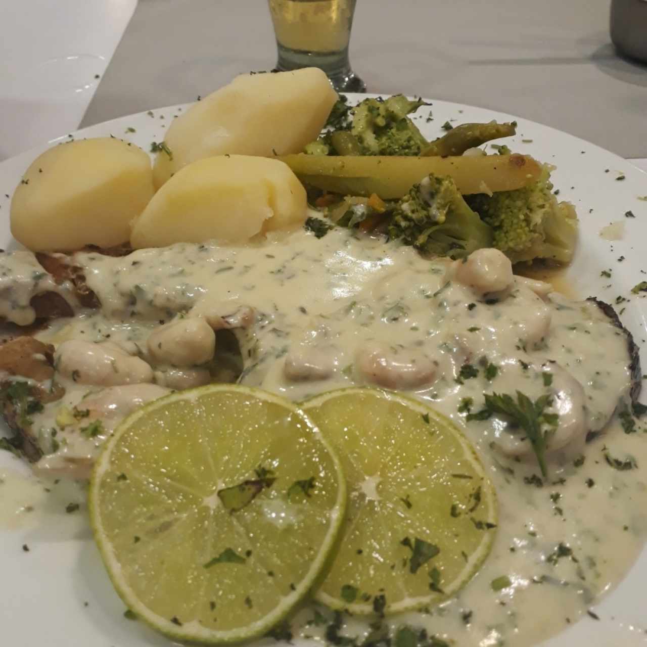 Rueda de Medregal en salsa verde con Camarones