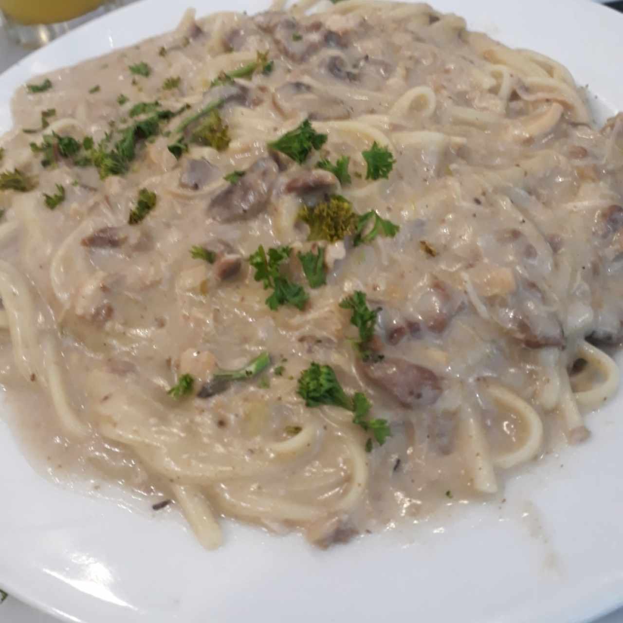 Pasta Solar