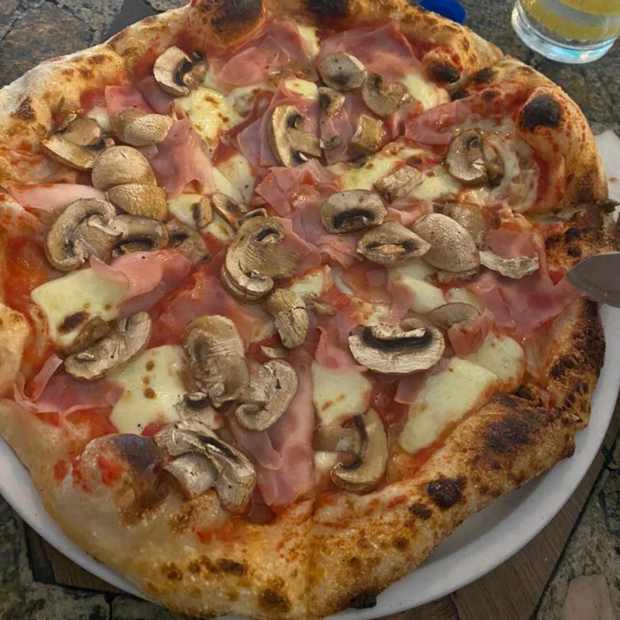 funghi 