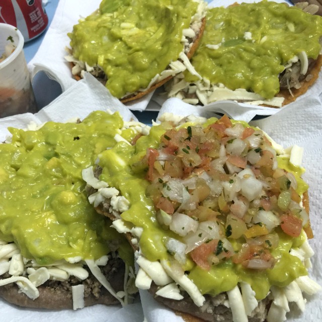 Pollo, carne y cochino especial (frijoles, guacamole y queso)