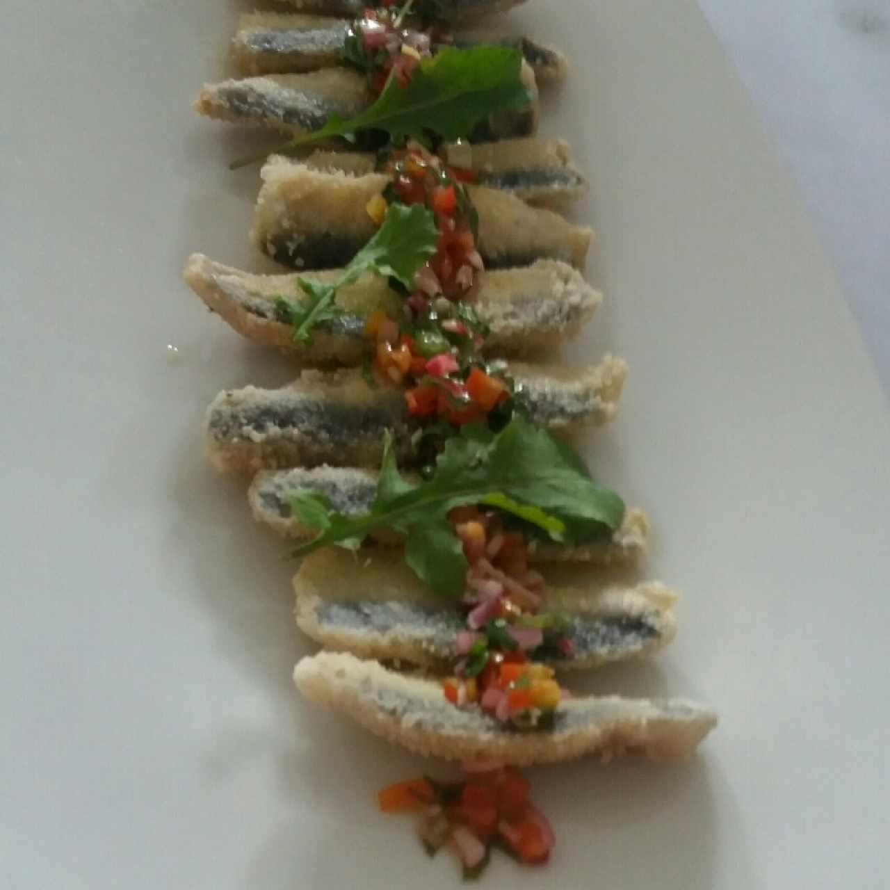 sardinitas