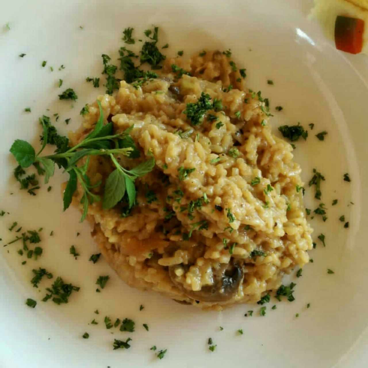 Risotto de Champiñones