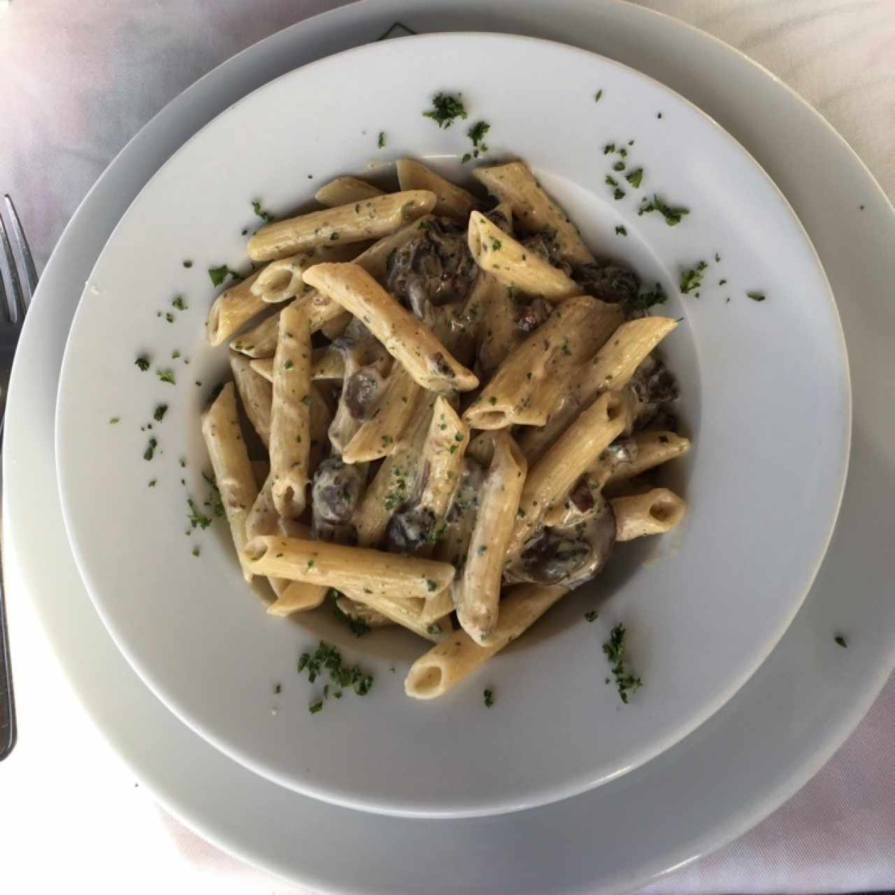 plato principal: pasta croton (hongos con crema de leche) 