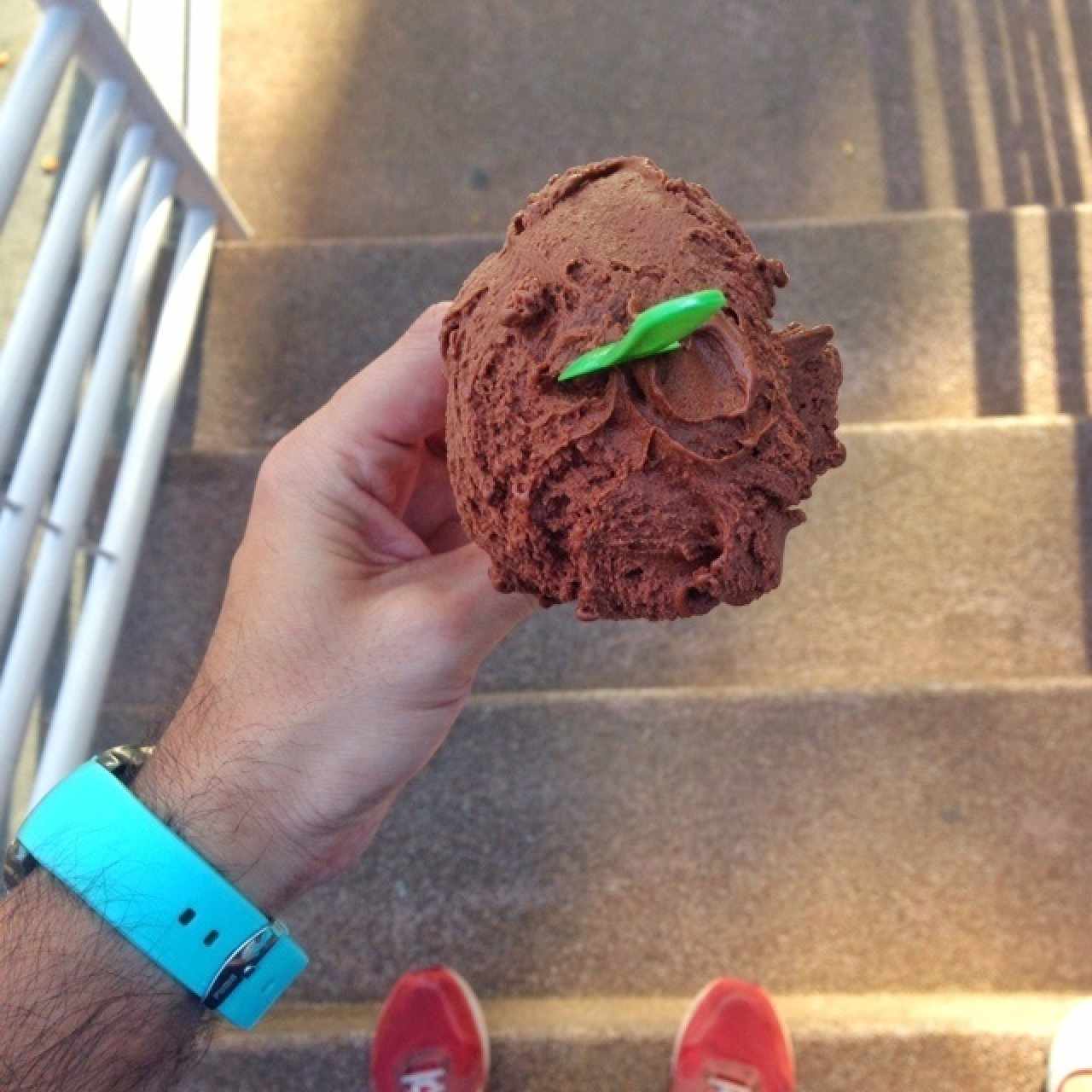 chocolate sarrapia