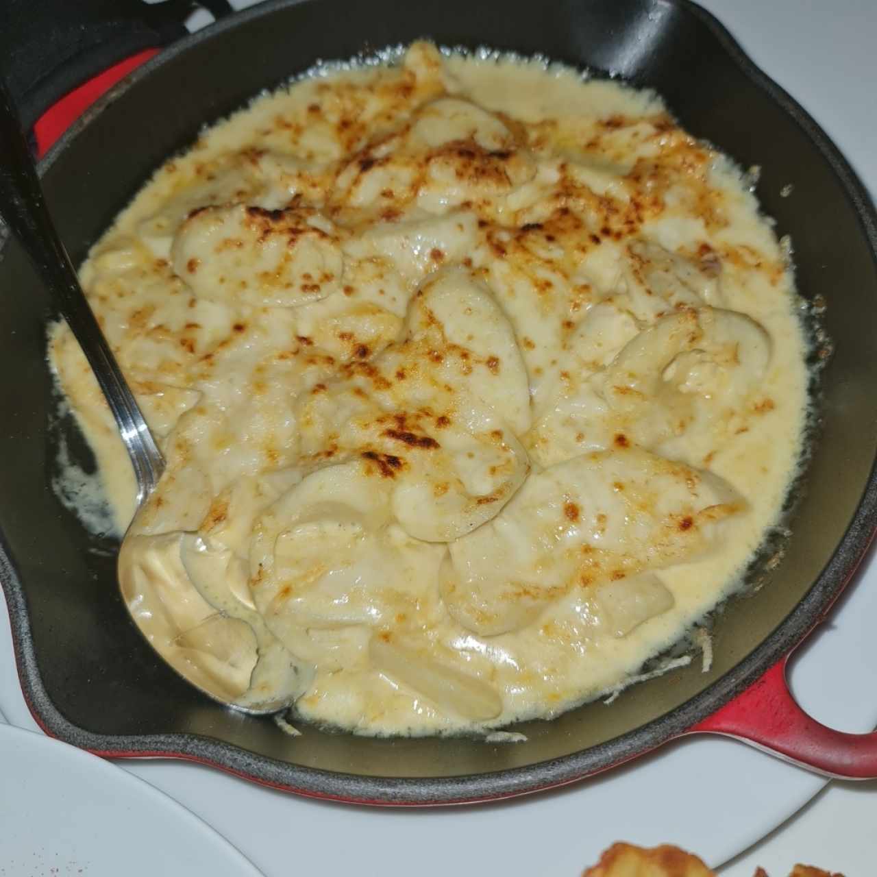 Palmitos 