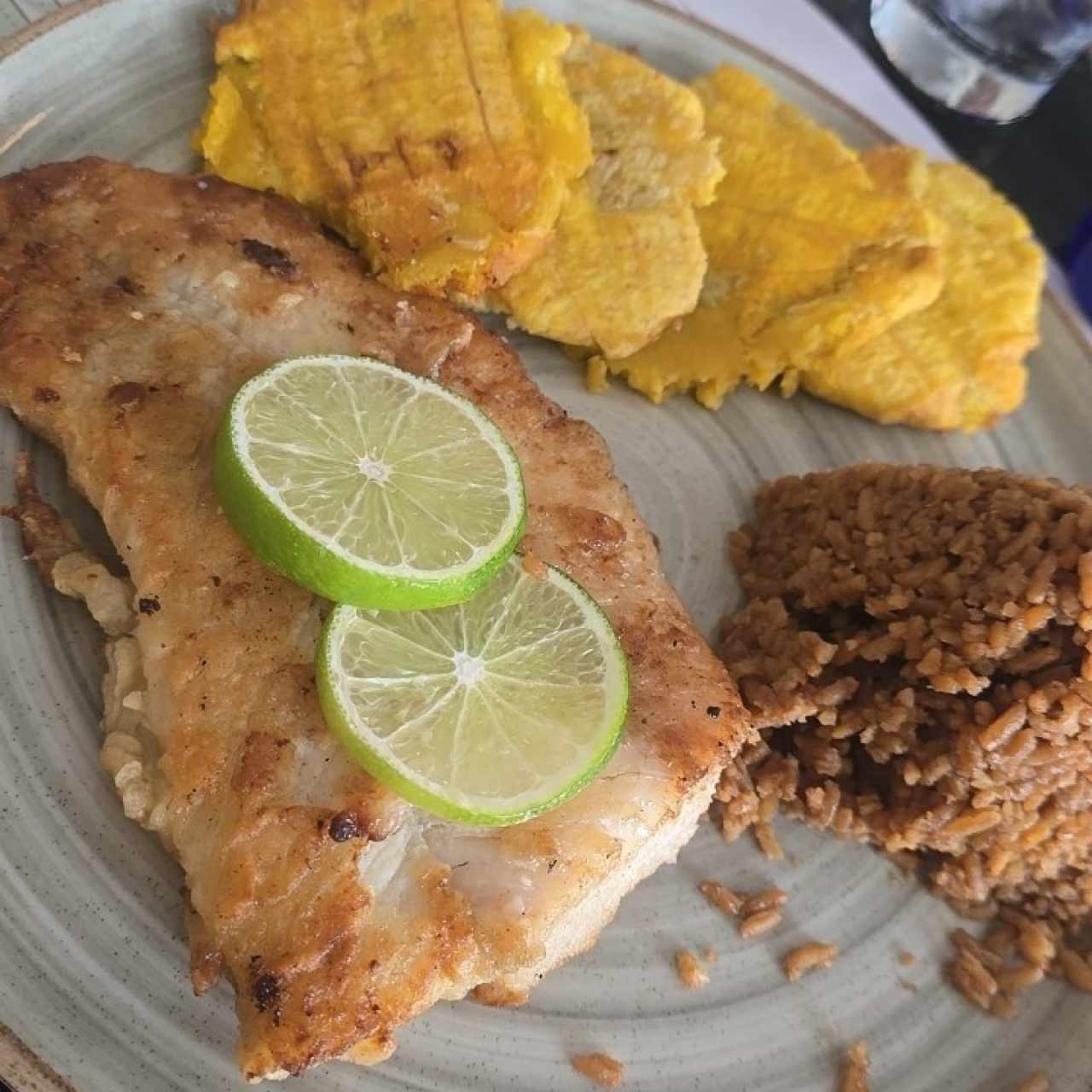 róbalo 