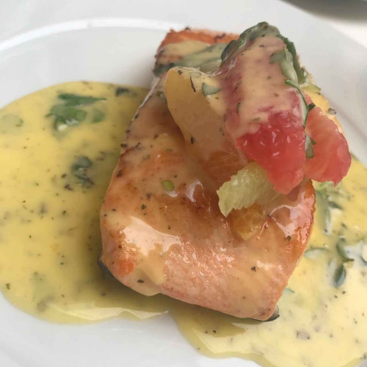 Salmon