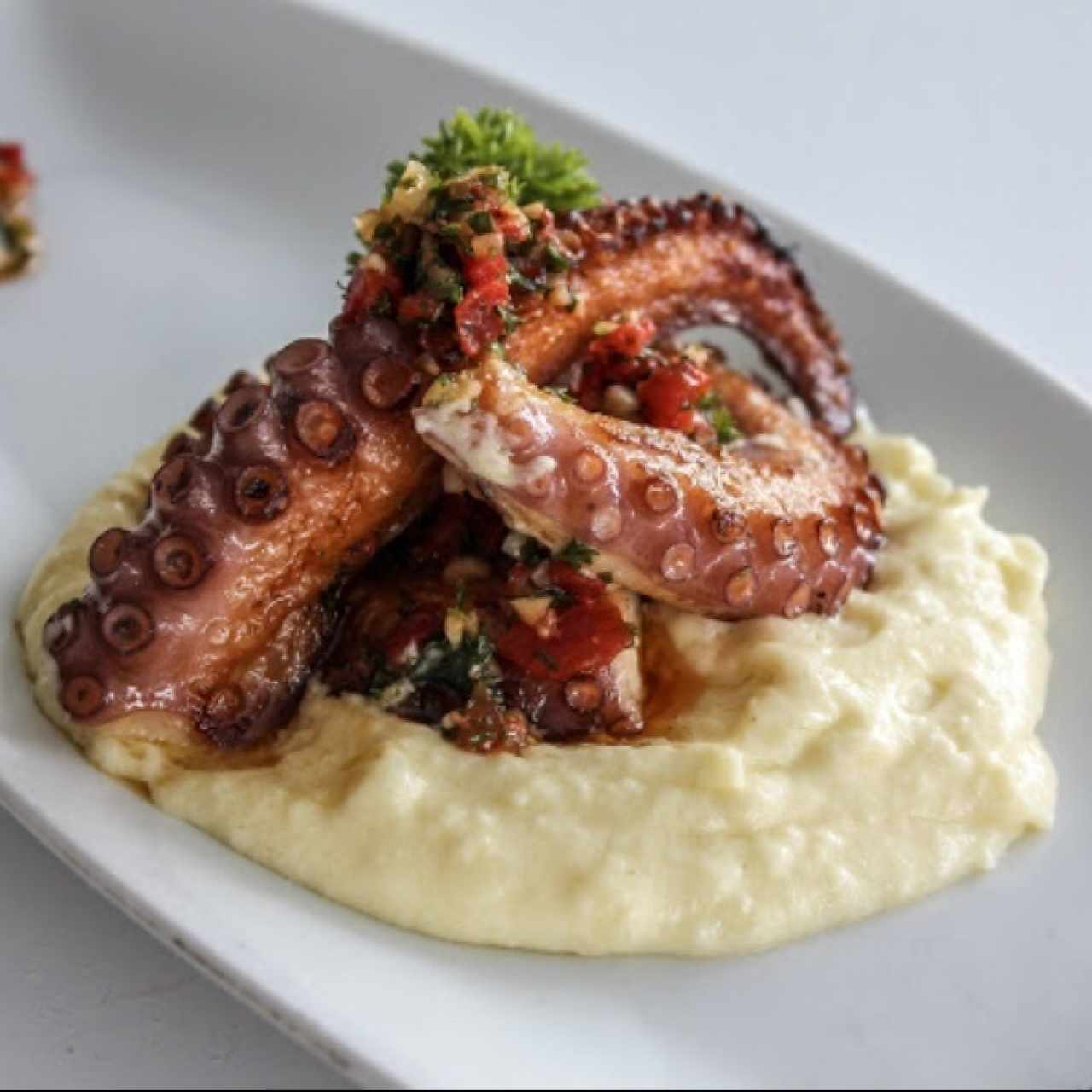 Pulpo