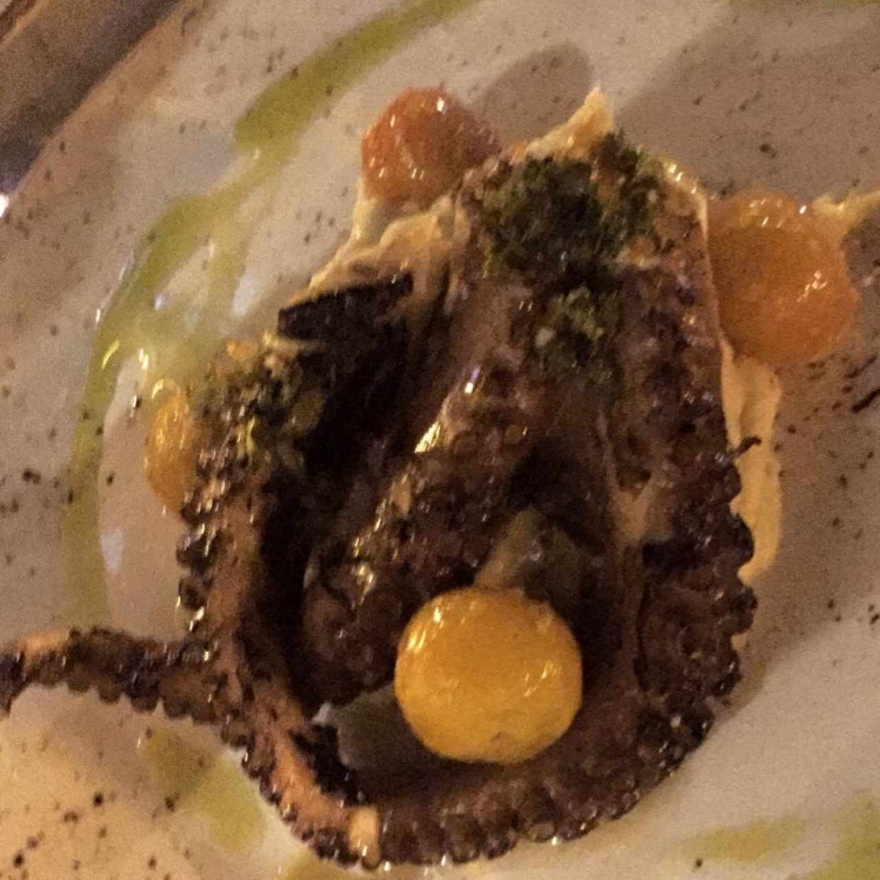 pulpo 