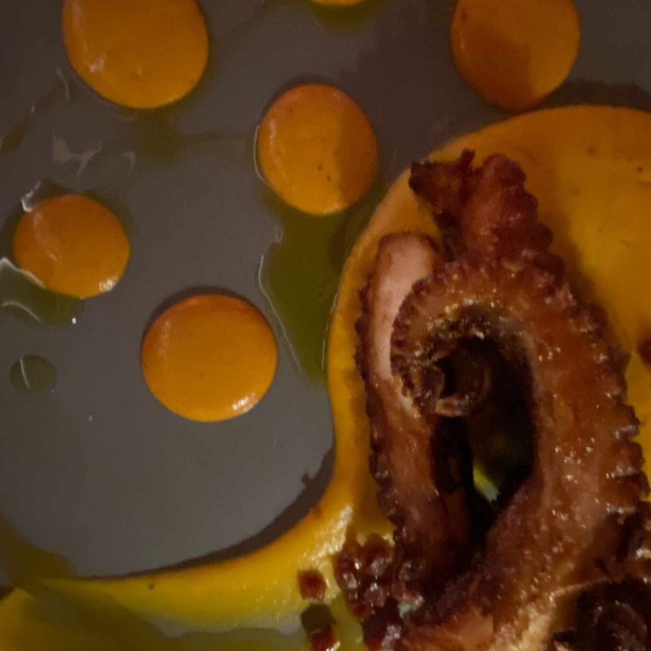 pulpo