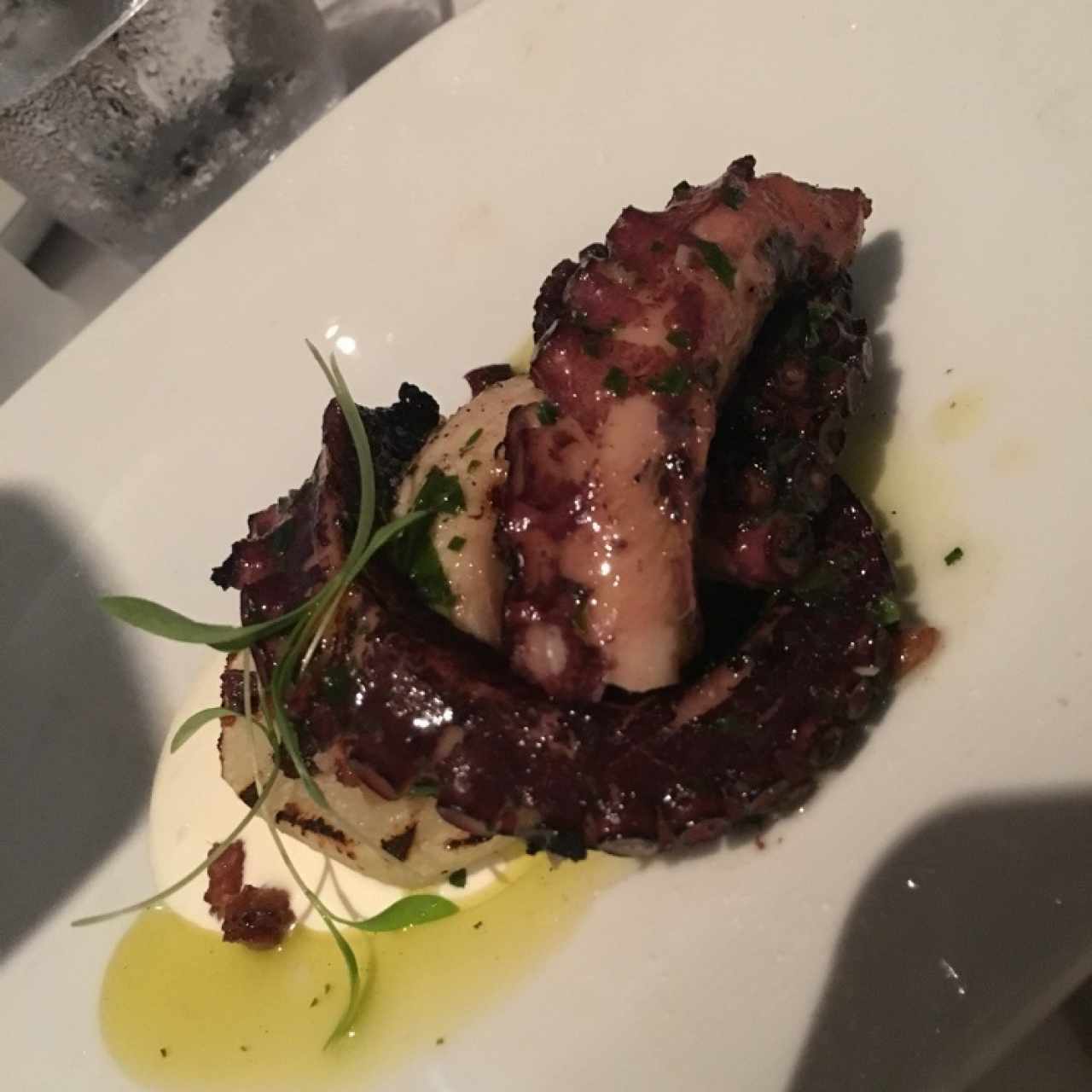 Pulpo