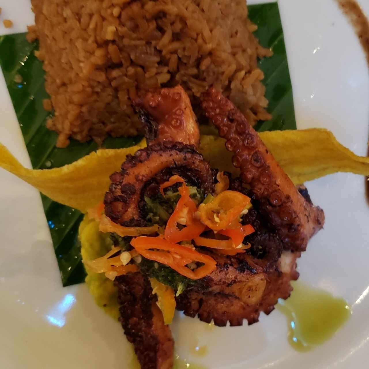 pulpo