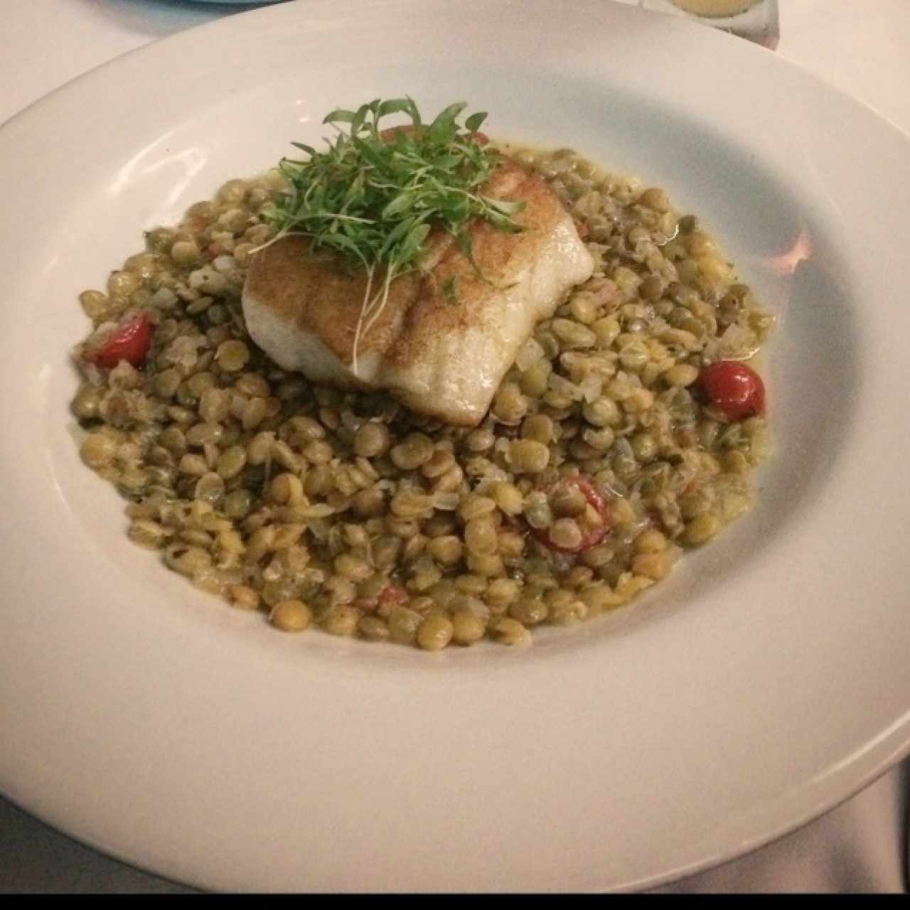 Pesca del día sobre cama de lentejas