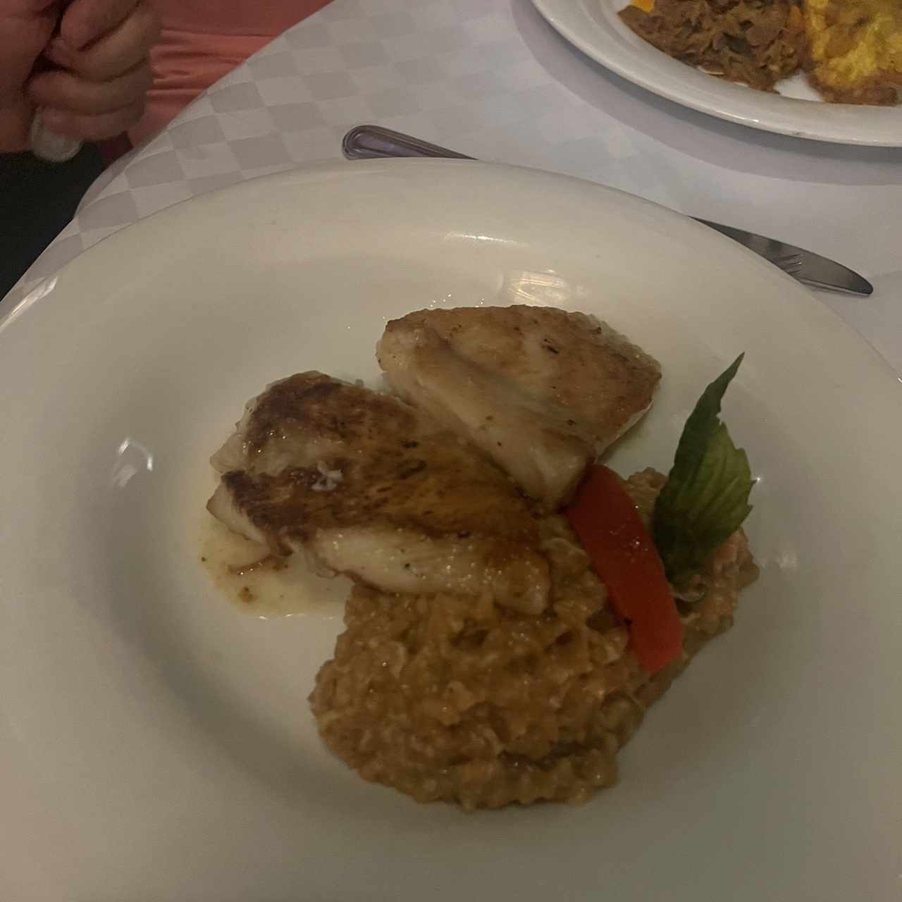 Robalo 