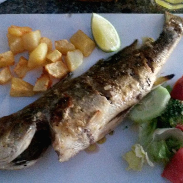 Corvina 