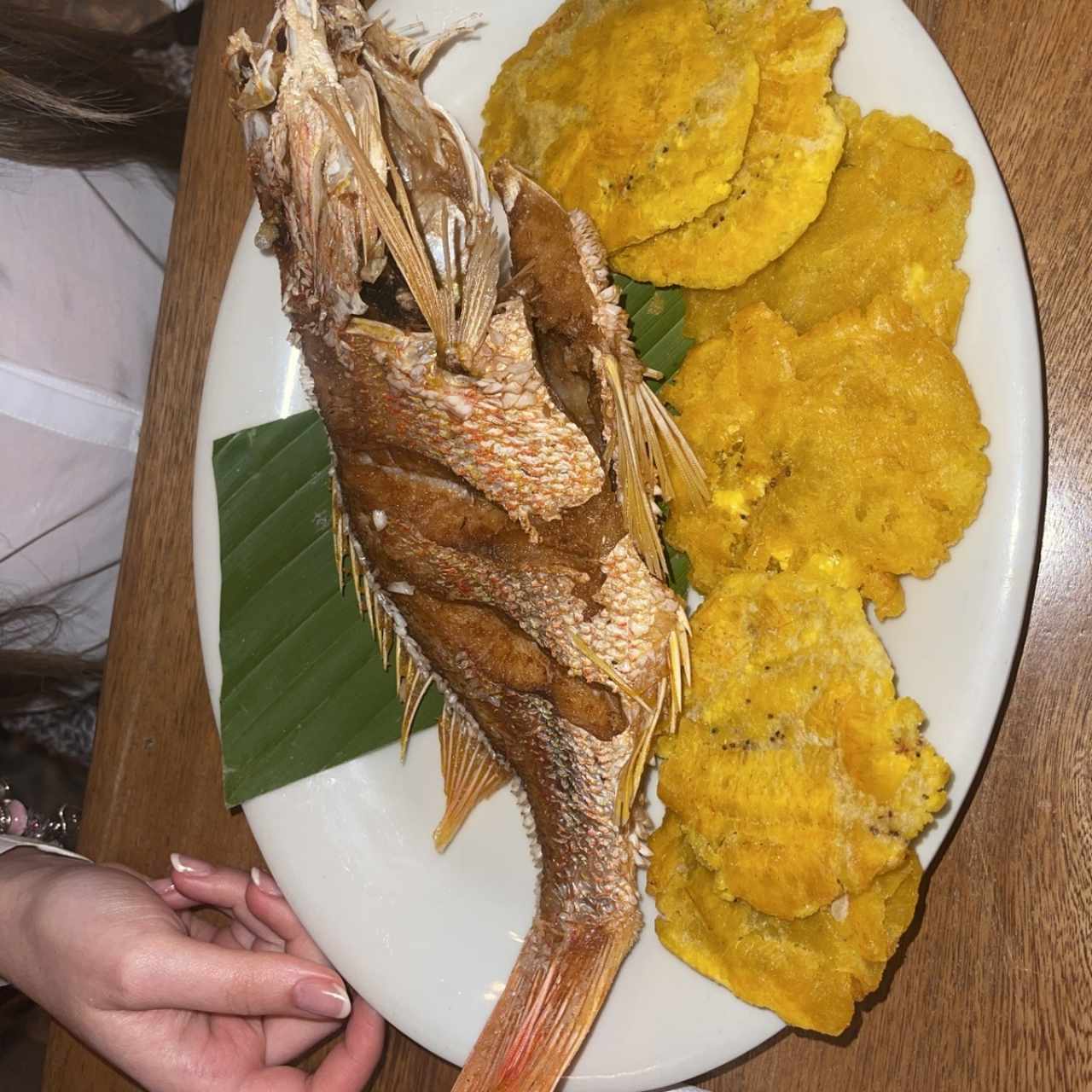 Pargo