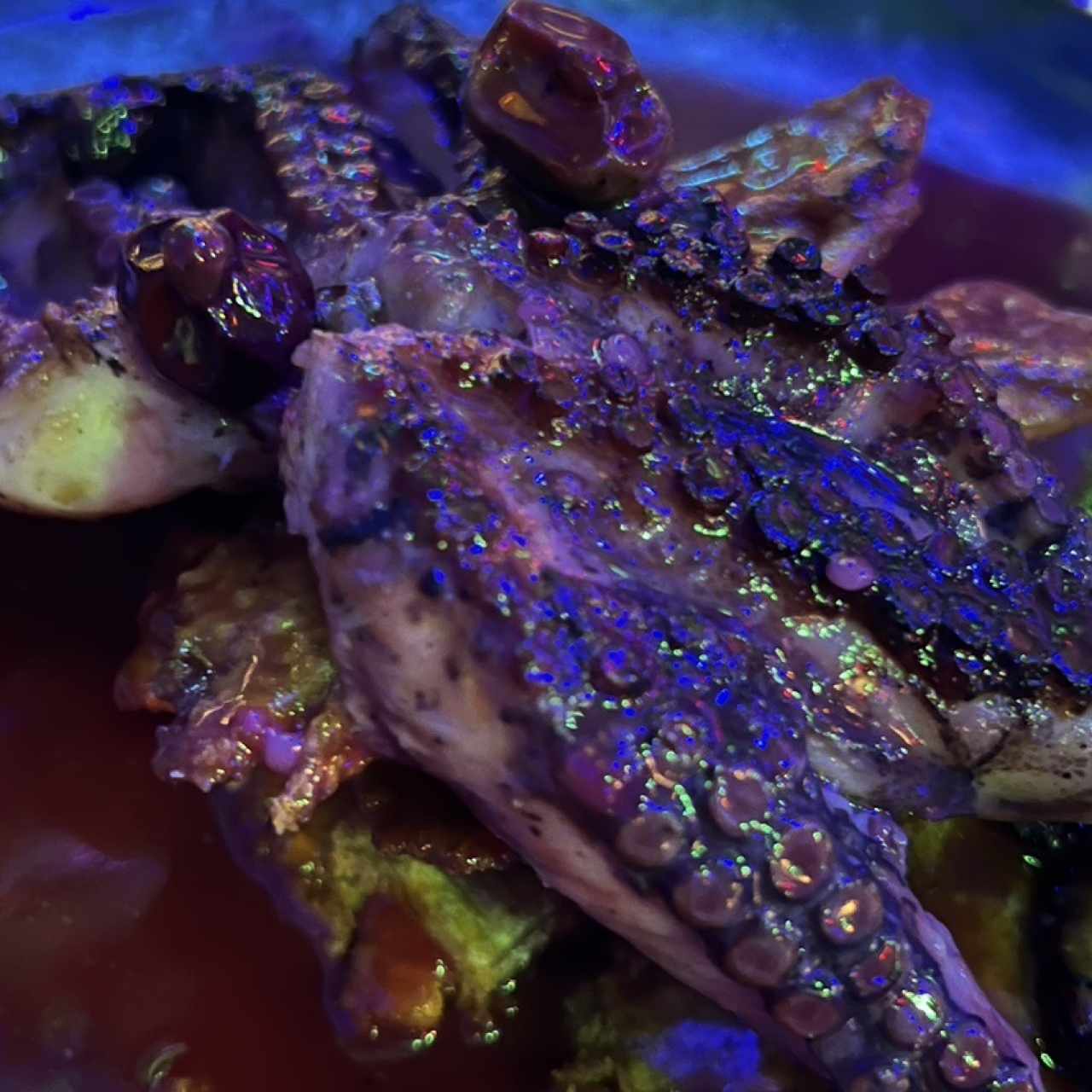 Pulpo en salaa de corozo 