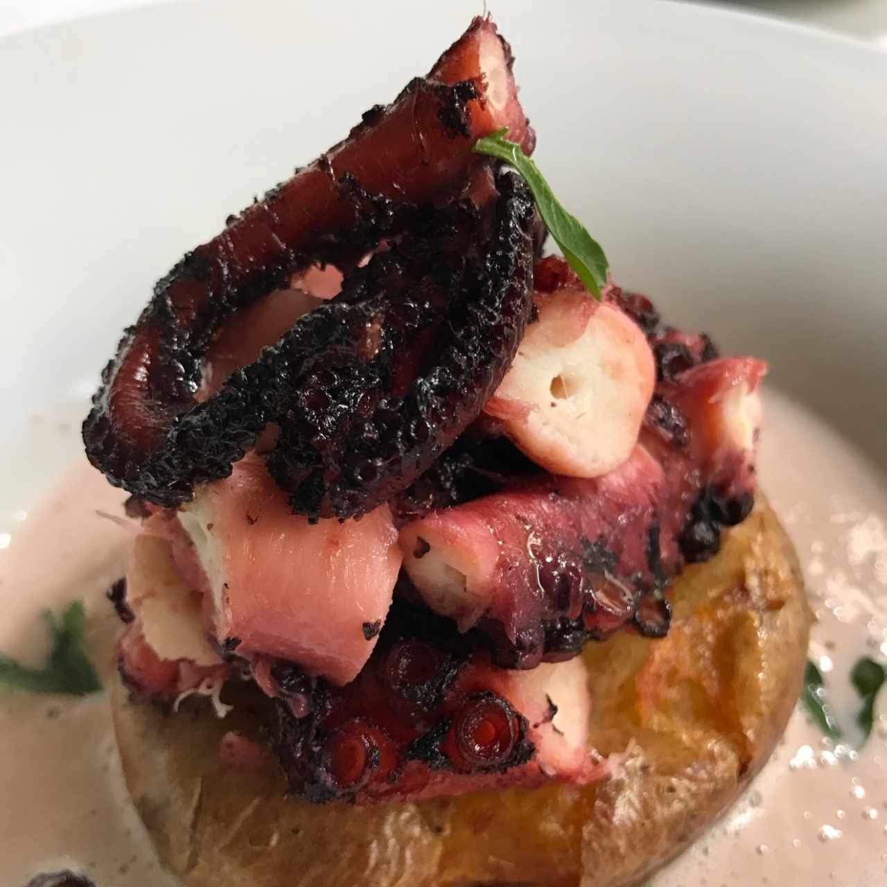 antipasto de pulpo