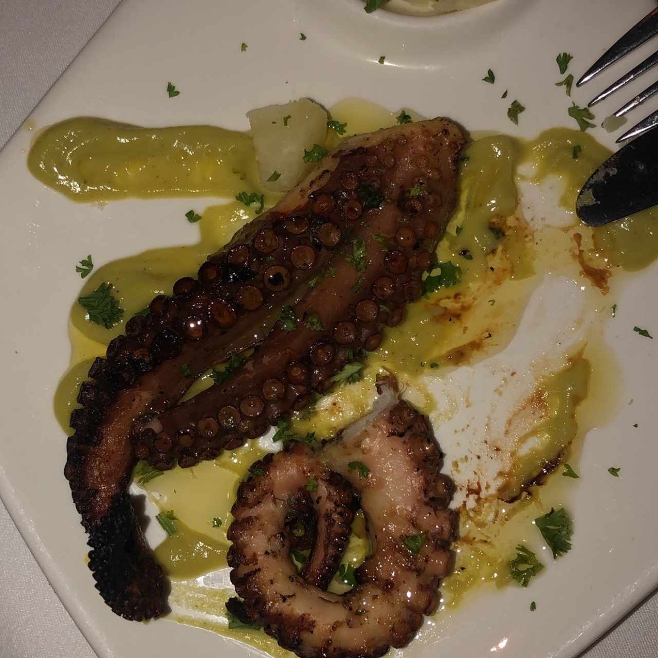 pulpo