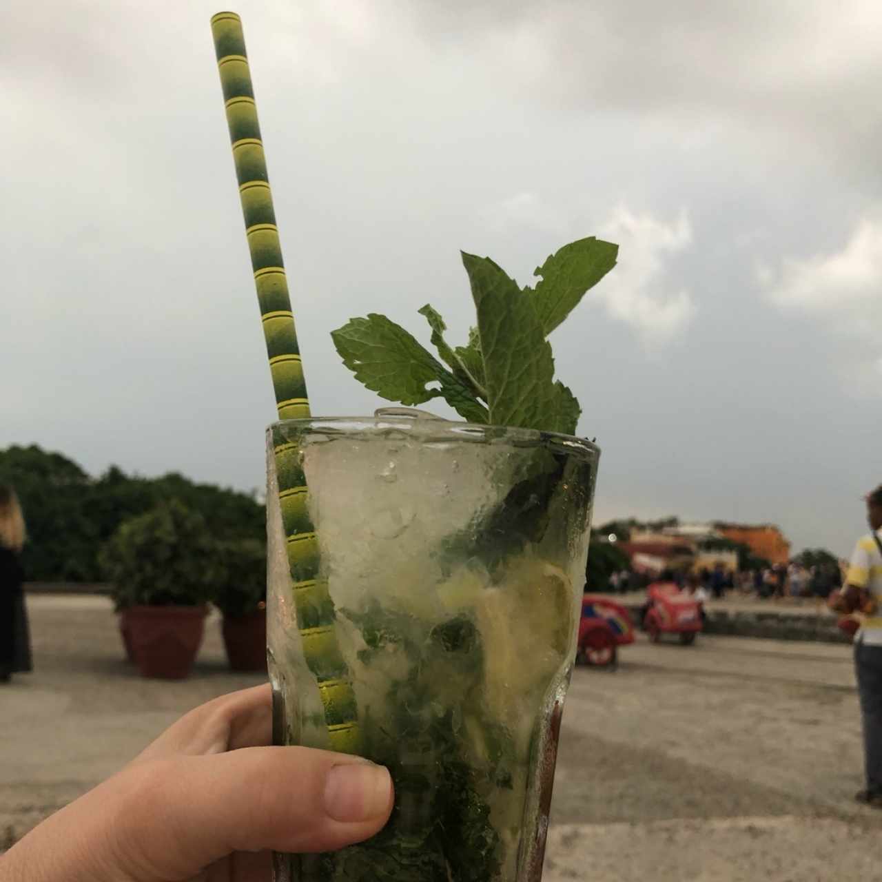 mojito