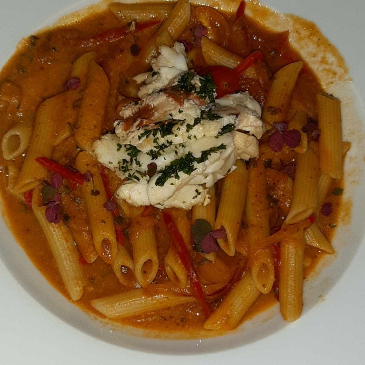 penne con cola de langosta 