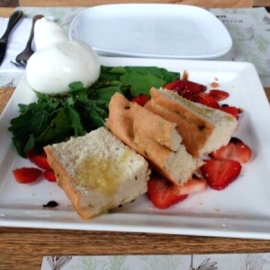 Burrata del  bosque