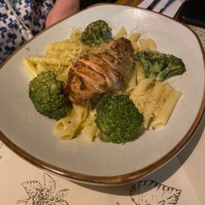 Pasta 4 quesos pollo y brocoli