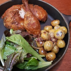 pollo