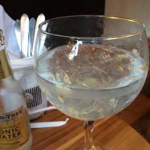 Gin Tonic
