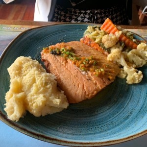 Salmon