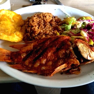 Tilapia frita