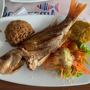 Pargo Rojo
