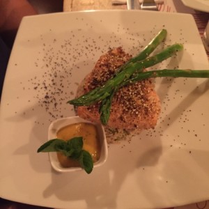 Salmon
