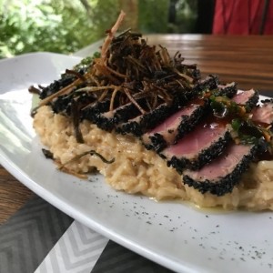 atun en cama de arroz cremoso