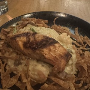 Salmon 