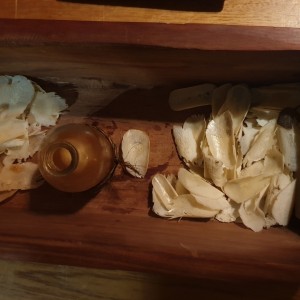 Bebida fermentada