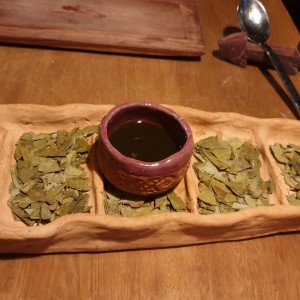 Bebida fermentada
