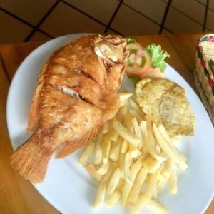 Tilapia frita 
