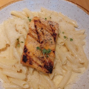 penne con salmon